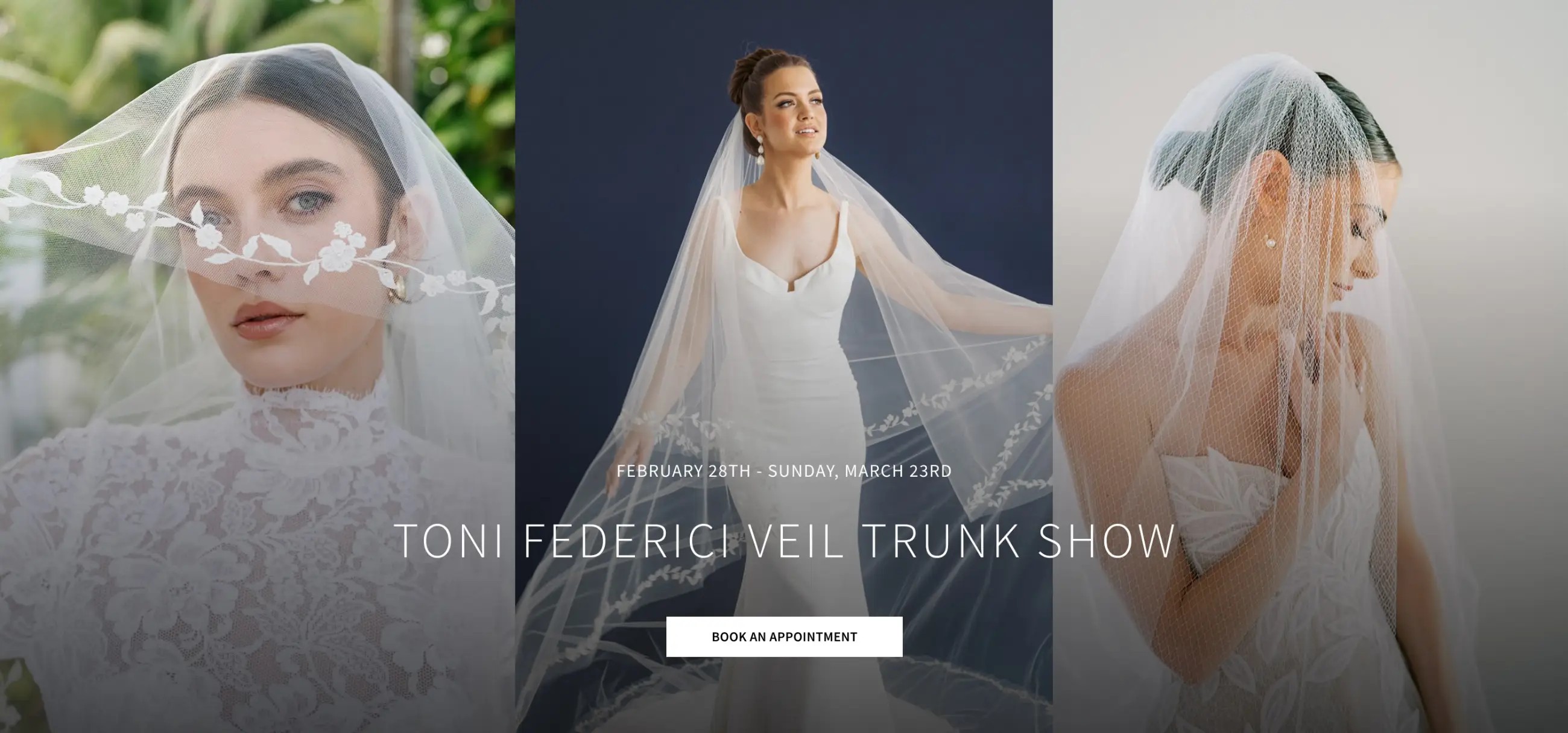 Toni Federici Veil Trunk Show Desktop