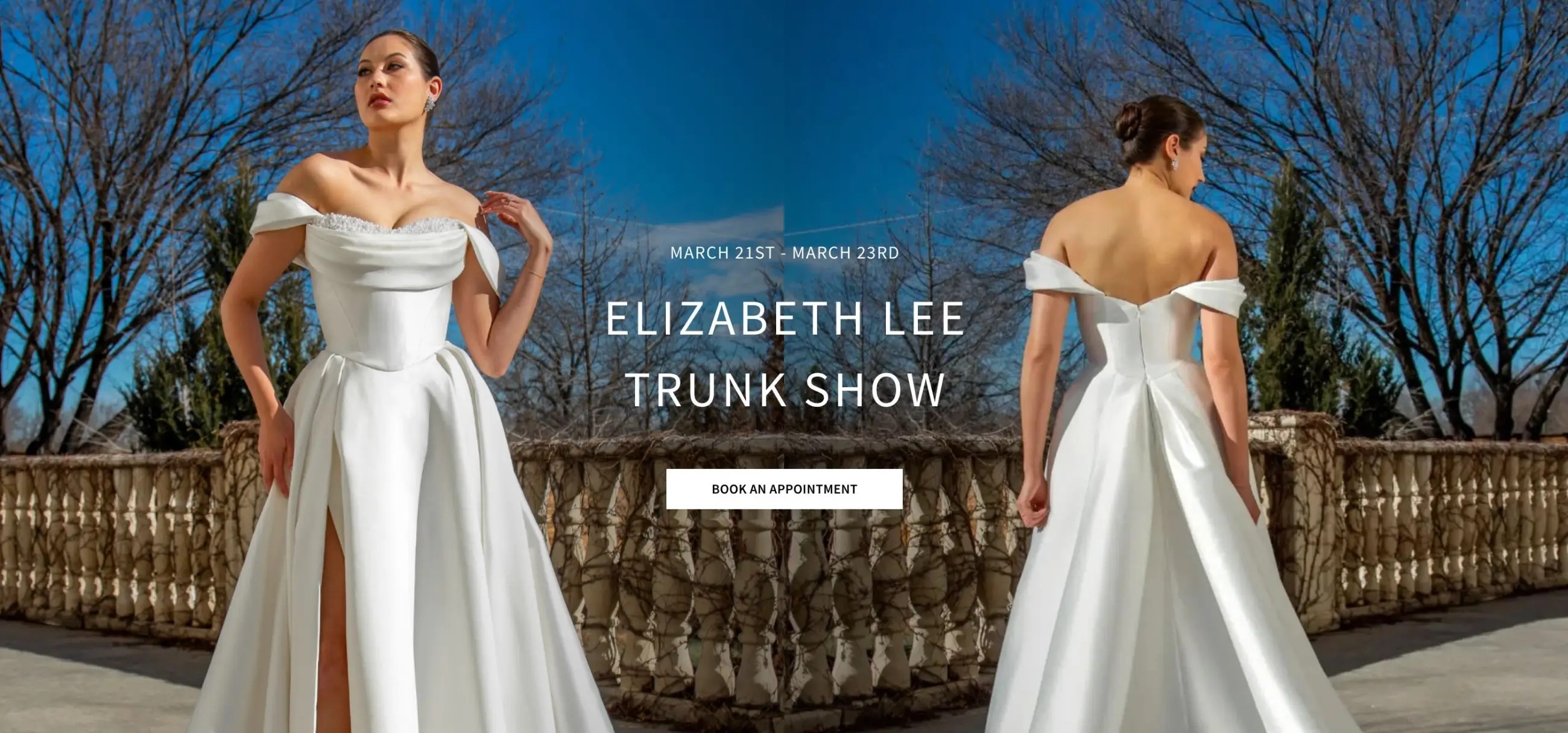 Elizabeth Lee Trunk Show Desktop