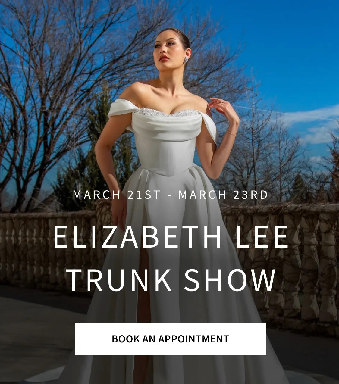 Elizabeth Lee Trunk Show Mobile